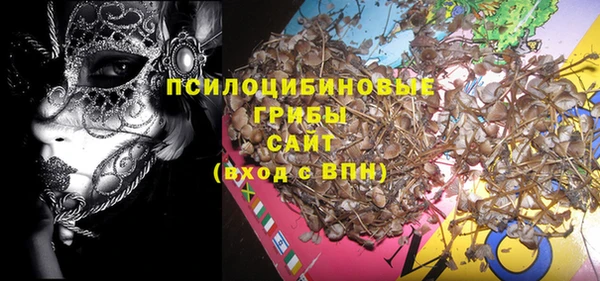 шишки Богородицк