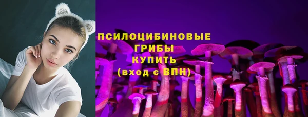 шишки Богородицк