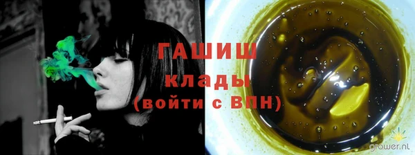 шишки Богородицк
