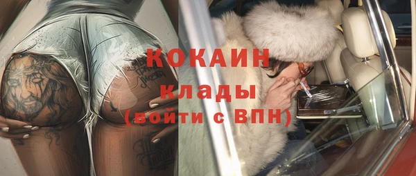 шишки Богородицк