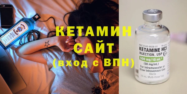 шишки Богородицк