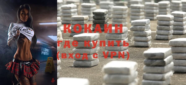 шишки Богородицк