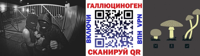 где купить наркоту  Верещагино  Галлюциногенные грибы GOLDEN TEACHER 